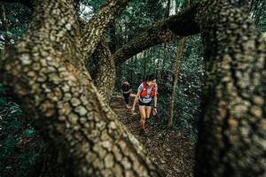 BIB: 
                            <button type="button" onclick="openModal(25392664)" class="btn btn-primary btn-sm float-right btn-popup" data-toggle="modal" data-target=".modal-high-quality">
                        <i class="fas fa-shopping-cart"></i> Add to Cart
                    </button>
                                            <button type="button" onclick="isThisMe(25392664, true)" class="btn btn-success btn-sm float-right btn-popup btn-isme hidden" data-toggle="tooltip" data-placement="bottom" title="นี่คือรูปของคุณใช่ไหม คลิกที่นี่เพื่อเอาเข้าอัลบั้ม">
                        <i class="fas fa-plus"></i> Add to album
                    </button>
                    <button type="button" onclick="isThisMe(25392664, false)" class="btn btn-warning btn-sm float-right btn-popup btn-isnotme hidden">
                        <i class="fas fa-ban"></i> Remove from album
                    </button>